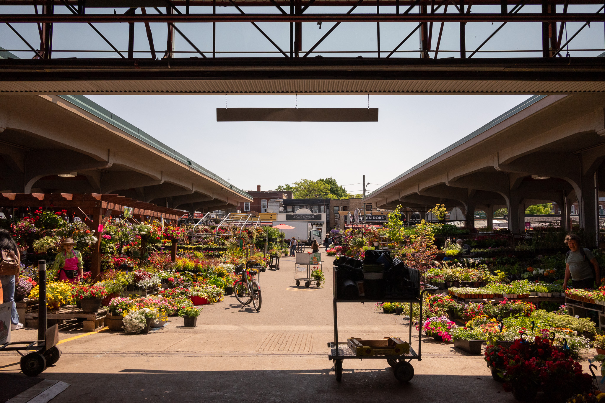 2023 Quebec Montreal Jean-Talon Market